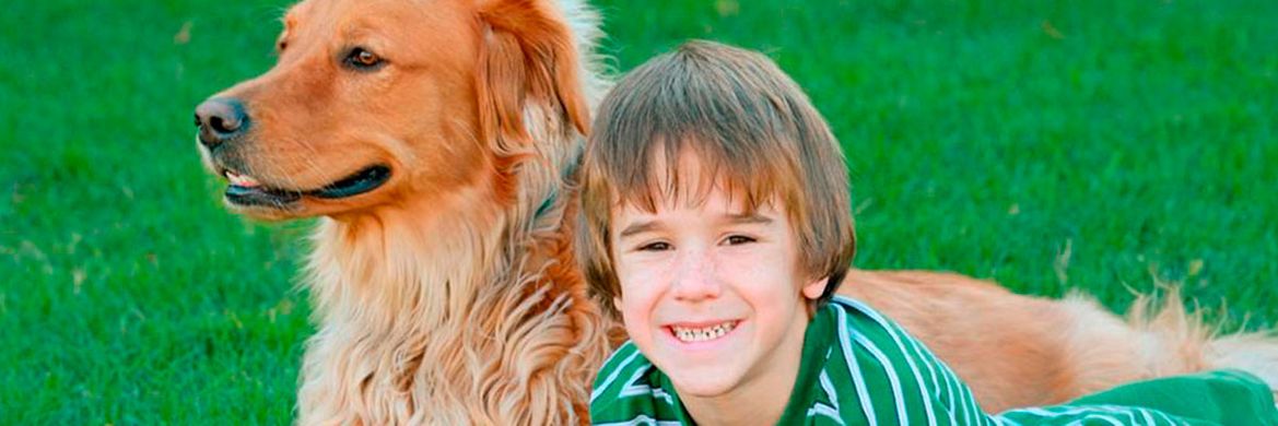 Boy with a dog at garden