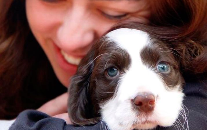 Loving owner and dog